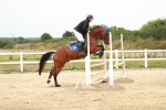 SBM_005433