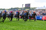220826-Race 5-Sondad-1093
