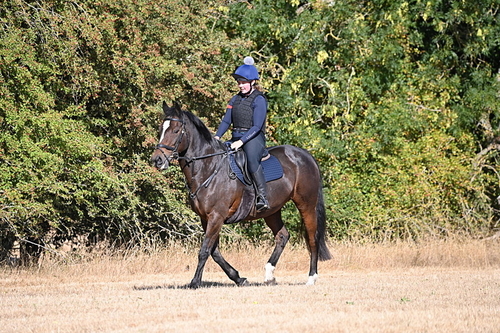 WJ6_6895