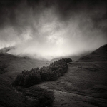 Storm Clearing (square format)