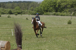 BVHT 140517  IXC -410