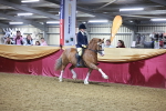 SBM_15246