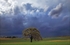 Approaching Storm-0715