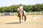 SBM_007810