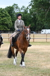 WJ7_0854