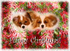 X7  Two cute babies