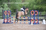 JAC_3544