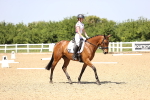 SBM_009151