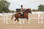 SBM_02039