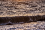 Wave Aldeburgh_2919