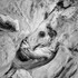 Eroded Rocks # 23D