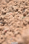 230511A-101635-00249
