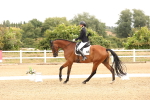 SBM_000382