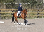 BPP_8498