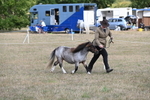 WJ6_6849