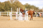 SBM_004036