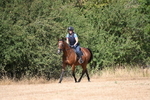 WJ6_8947