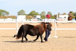 SBM_17657
