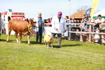 SBM_08321