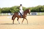 SBM_007447