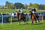 230426-Race 8-Barbury Boy-5946