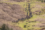 Elterwater-311