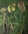 3. Undergrowth, Oil on Canvas, 51cm x 41cm