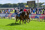 120626-Race 6-Rotokura Belle-8252