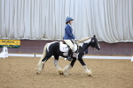 SBM_000213