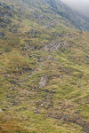 Peris Horseshoe-732