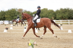 SBM_005587