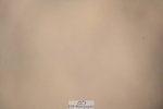 240323A-102755-01380