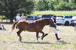 WJ6_4852