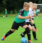 Ibis JFC Festival Part 1 portfolio