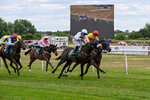 220726-Race 3-Wise Crack-9590