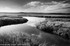 Rye Marsh