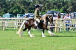 SBM_11477