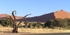 Arid landscape with dunes