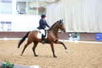 SBM_022181