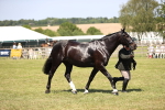 SBM_17936