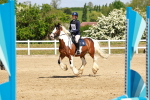 SBM_007805