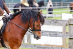 SBM_08440