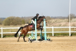 SBM_000282
