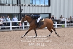 BPP_9413