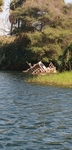 IMG_20241124_123248