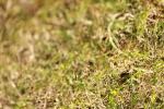 SBM_01862