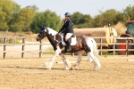 SBM_000362