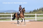 BPP_2002