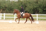 SBM_00545