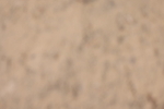 20260523-1348